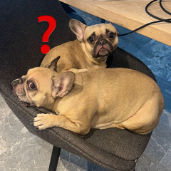 William - ILY snippet