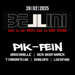 PIK-FEIN @ BACK to the ROOTs BACK to DARK TECHNO | BELLINI - MAINZ | 28.02.2025