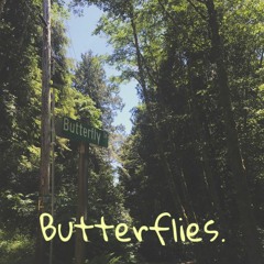 Butterflies.