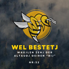 46_Wel Bestetj stoetlieken 2025_Wildje gau maujn bieken zaujn?