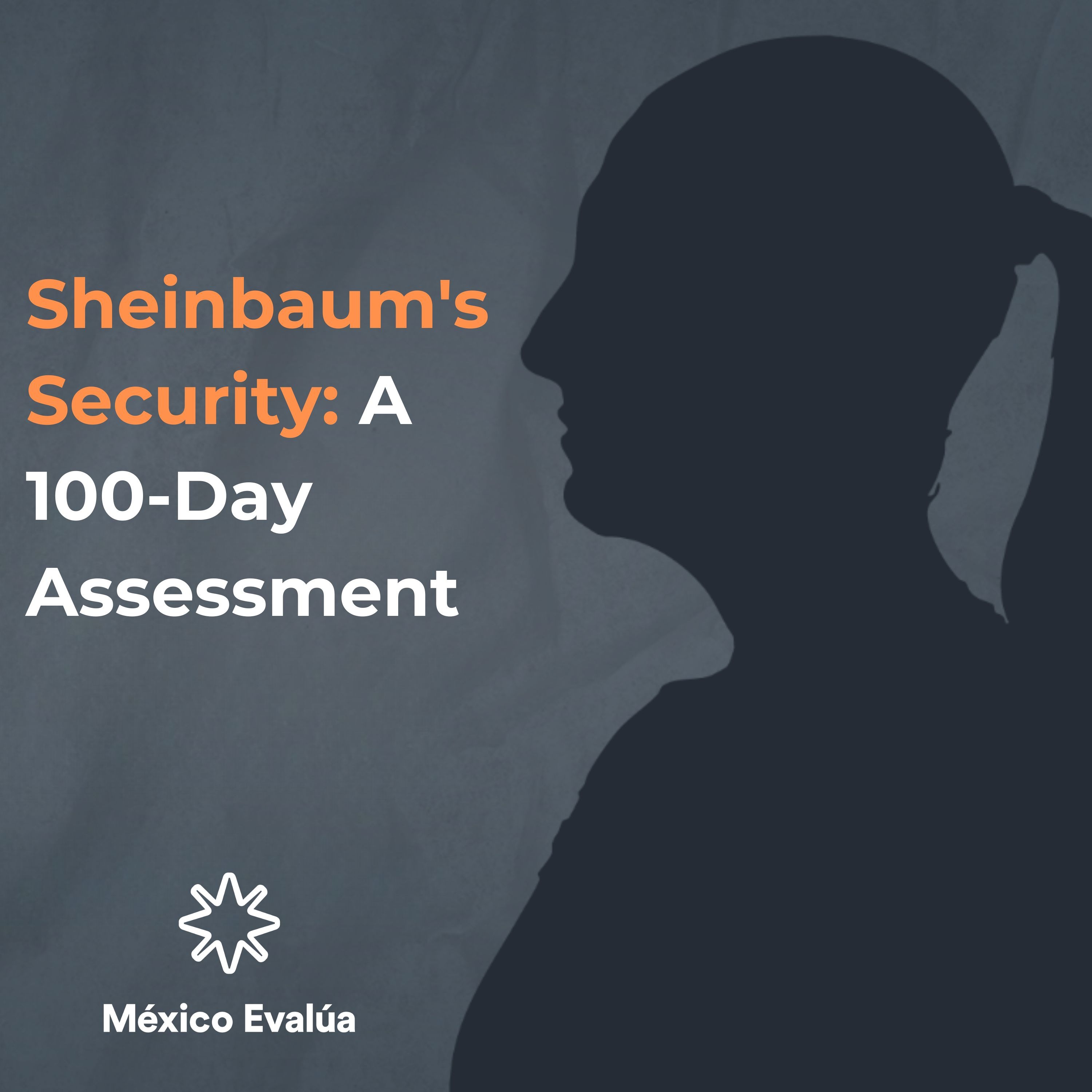 Sheinbaum's Security_ A 100-Day Assessment