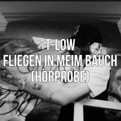 T-LOW - FLIEGEN IN MEIM BAUCH (HÖRPROBE)