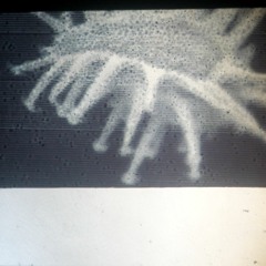 Rosa Méthol // TUSK Fringe // Mix III