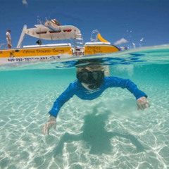Review Special Price Private Half Day Trip Snorkeling Cruiseswimming Pool Virgen Beach