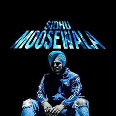 Horse_Ft _Mirza