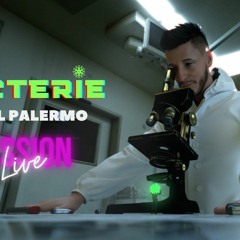 Djalil Palermo - Bactérie 2024