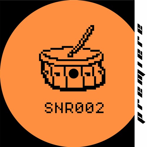 𝙋𝙧𝙚𝙢𝙞𝙚𝙧𝙚 : Walrus & Camiflage - DX Problems [Snaretrade Records]