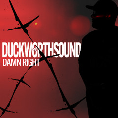 Duckworthsound - Damn Right