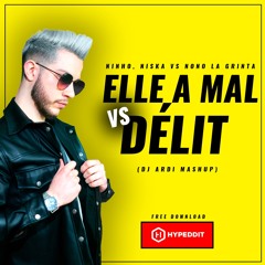 Ninho, Niska VS Nono La Grinta -  Elle A Mal Vs Délit (DJ ARDI Mashup)