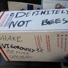 To BBLDrizzy: (feat. WhoKilledCassidy & badussyphart) Prod. Metro Boomin