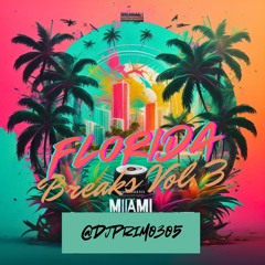 Florida Breaks Vol. 3