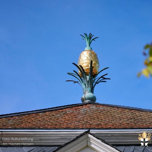 Obst auf den Dächern Fuldas - Die vergoldete Ananas
