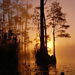 Florida (2023) Anthology CD3 Track 13