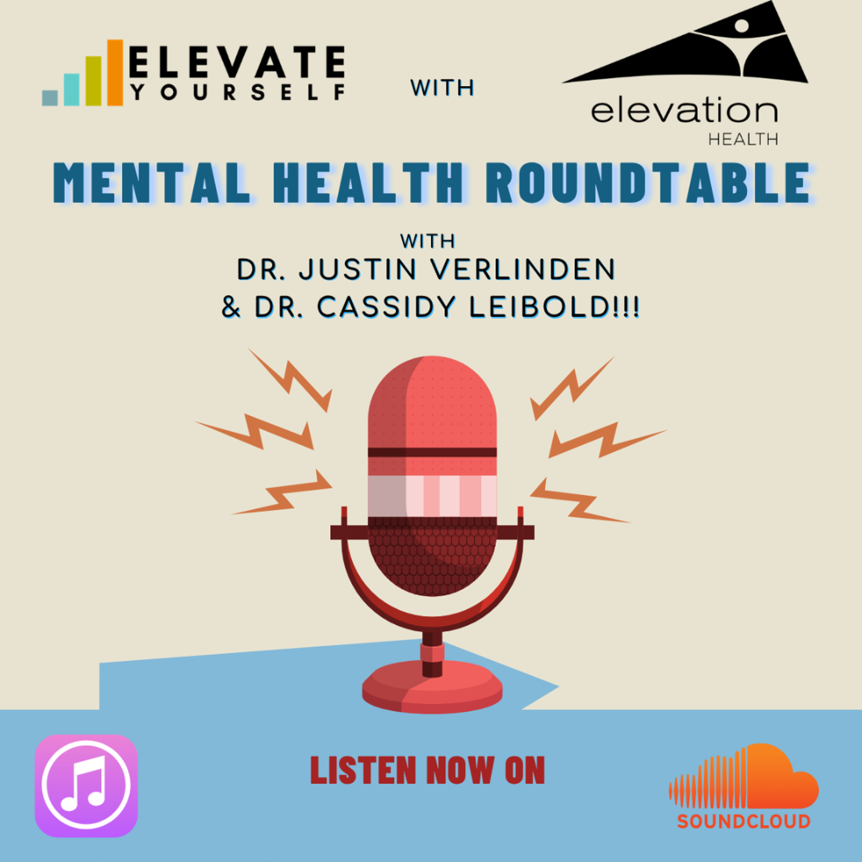 Episode #74 Mental Health Roundtable with Dr. Justin Verlinden and Dr. Cassidy Leibold!!! episode artwork