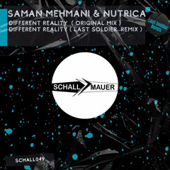 Different Reality (Last Soldier Remix)