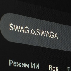 SWAG.o.SWAGA - ВИП