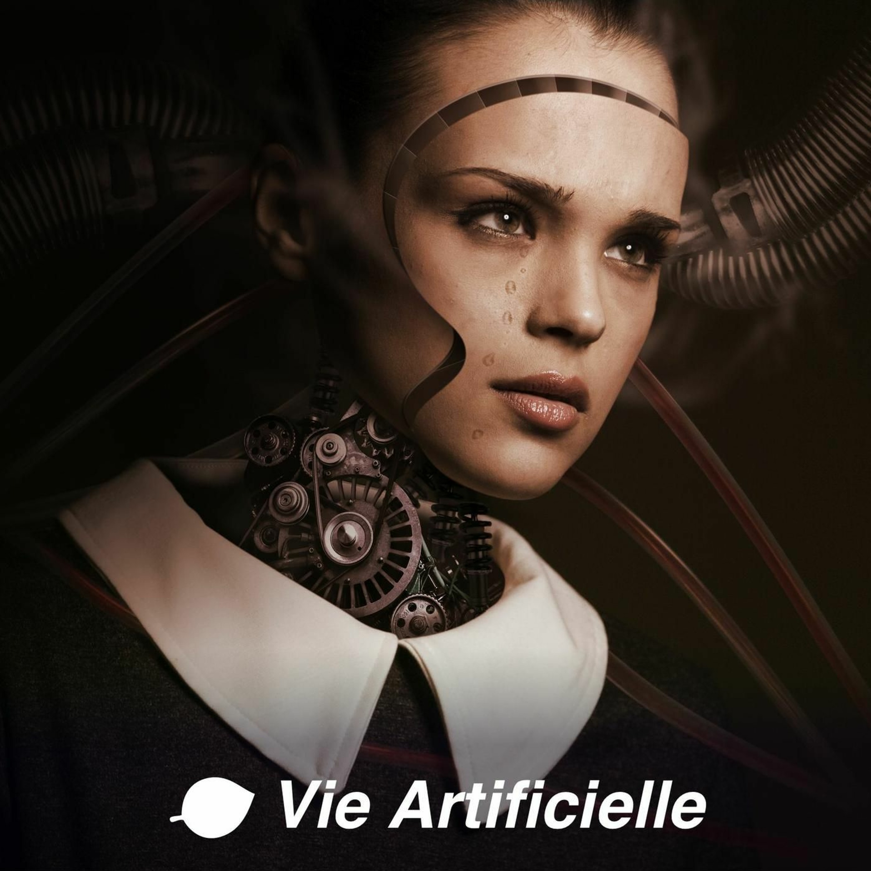 Vie Artificielle