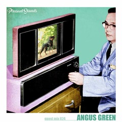 Pleasant Sounds Guest Mix 024: Angus Green
