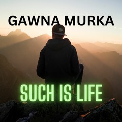 Such Is Life