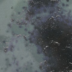 zoink_realm [104.4]