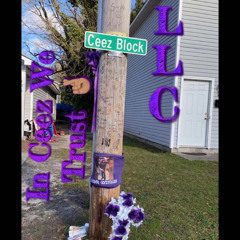 Ceez Block