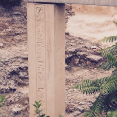 Come Dance At My House