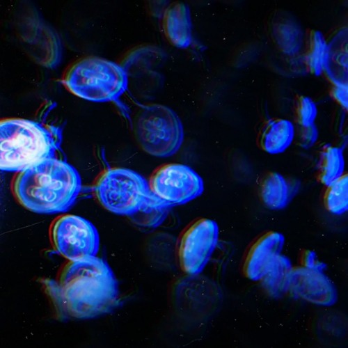 The beats reloaded // Poligraf 02.10.2021