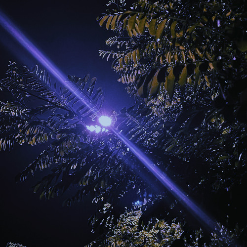 yours always (sped up)