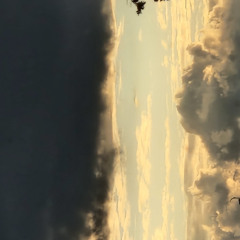 tesa_b2