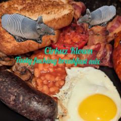 Tasty fucking breakfast mix (dubstep/riddim mix)