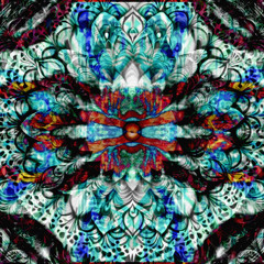 DD(Radio Edit)