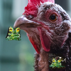 chicken jam ft GRIZWIZ on edward the violin 36 seconds