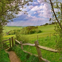 The Other Side of the Hill, Orchestral Pastiche ℗