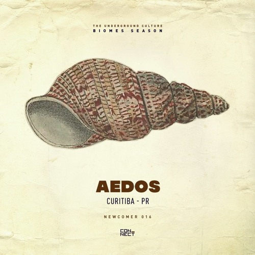 AEDOS @ Newcomer #016 - Brazil