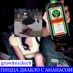 электросельдерей