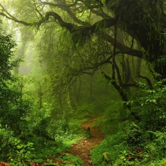 Within Temptation — In Perfect Harmony (Acoustic Cover by Alex&Irene)