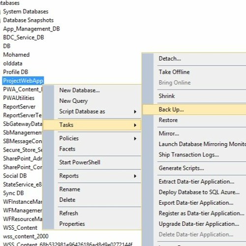 Stream Microsoft Project Server Database Schema Table from Christopher ...