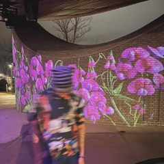 LITFAME prod! Curt!