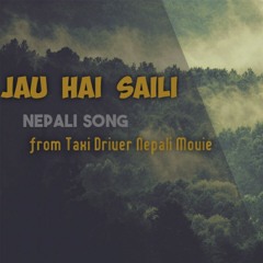 jau hai saili I Nepali folk song | Taxi driver movie