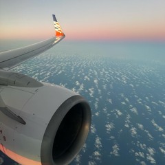 Finding Peace In Chaos