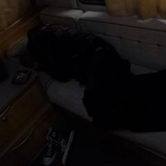 2hoes (prod.euphor1a)