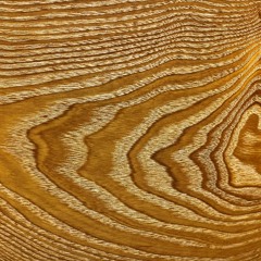 Ohmega Podcast Spring 2021