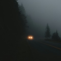 Aokigahara