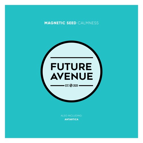 Magnetic Seed - Calmness [Future Avenue]