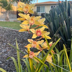 period shits in the bathroom at work
