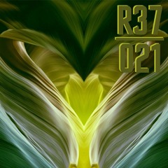 R37 Podcast 021 | DJ Saunameister
