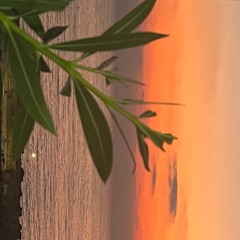 plasma sleeper train deluxe