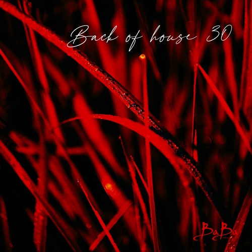 Back of house vol.30