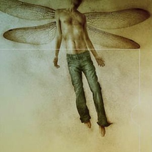 Listen To Music Albums Featuring El Pajaro Speed Y Su Banda De