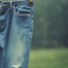 The Denim Chronicles by songwriter Edwin H. Balder